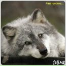 Фотография Кулика Михаила