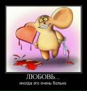 Фотография Шайхутдинова Марата