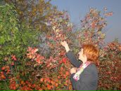 Фотография Кубасовой Елены