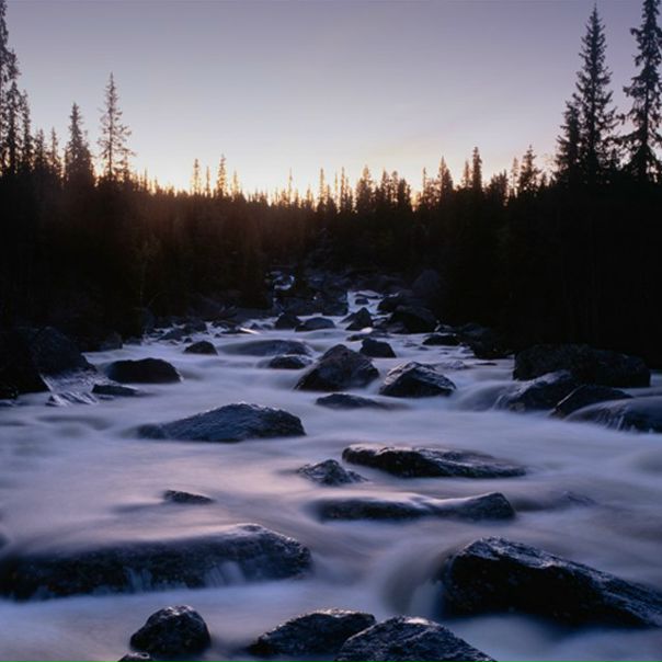Александр Подъячев фото №1