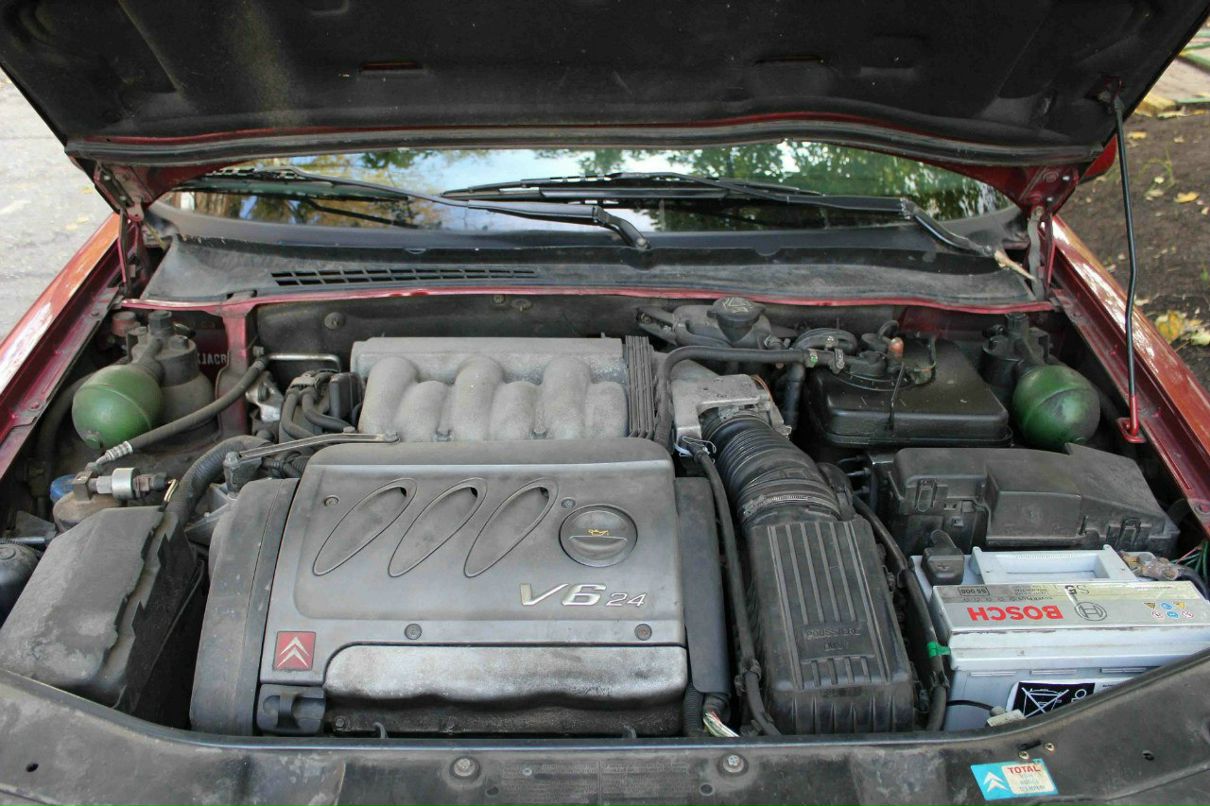 Иван Абрамов фотография #20