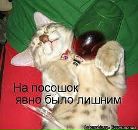 Сергій Сваржевський фотография #21 (источник - https://vk.com/id29848294)