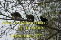 Дмитрий Недбайло фотография #31 (источник - https://vk.com/id1300758)