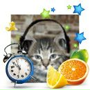 Alex Fox фотография #49 (источник - https://vk.com/id40662)