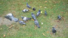 Віка Плотніцька фотография #4 (источник - https://vk.com/id30417747)