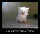 Фотография Михалёвой Ольги