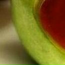 Елена Дмитриева фотография #15 (источник - https://vk.com/id485380)