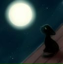 Фотография Дегтярёвой Алёны