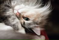 Фотография Черновой Инны