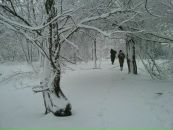 Іштван Сюч фотография #42 (источник - https://vk.com/id33309332)