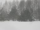 Андрій Приступа фотография #7 (источник - https://vk.com/id31627146)