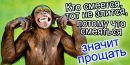 Яна Воєвідко фотография #39 (источник - https://vk.com/id88107112)