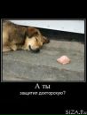 Андрій Кость фотография #42 (источник - https://vk.com/id101523145)