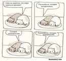 Сам Світ фотография #5 (источник - https://vk.com/id151459852)