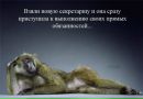 Тімур Сокунов фотография #30 (источник - https://vk.com/id45307241)