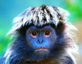 Anna Okaya фотография #34 (источник - https://vk.com/id3371480)