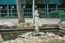 Юра Синіцький фотография #47 (источник - https://vk.com/id58421631)