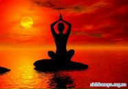 Фотография Шейченко Екатерины