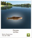 Єгор Юзвинськый фотография #13 (источник - https://vk.com/id162841142)