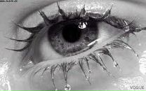 Фотография Каландадзе Анны