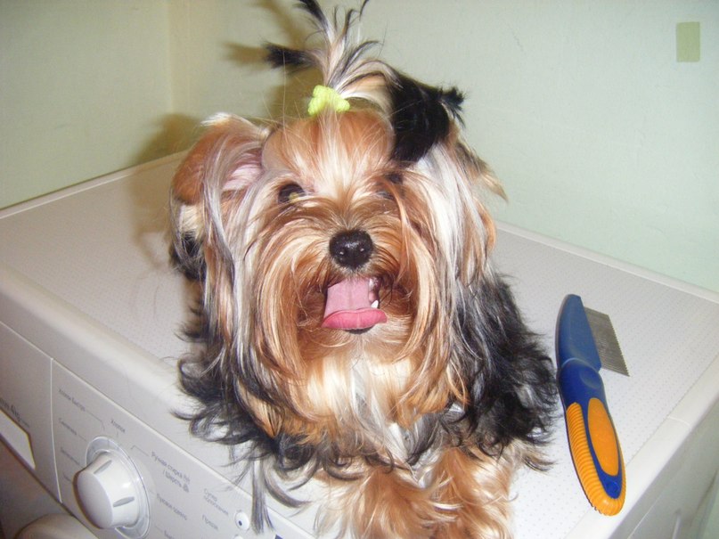 Елена Савельева фотография #16