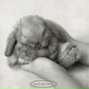 Фотография Беляшевой Натальи