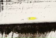 Віталій Рибко фотография #44 (источник - https://vk.com/id10595984)