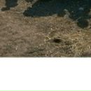 Сергій Гельжинський фотография #49 (источник - https://vk.com/id136744128)