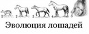 Вітя Терпак фотография #14 (источник - https://vk.com/id147352742)