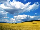 Георгій Дейнека фотография #11 (источник - https://vk.com/id165414765)