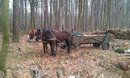 Віктор Сілівон фотография #9 (источник - https://vk.com/id108247527)