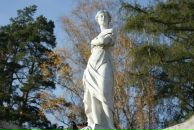 Fragaria Vesca фотография #38 (источник - https://vk.com/id542159)