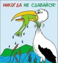 Сергій Постоюк фотография #22 (источник - https://vk.com/id155026461)