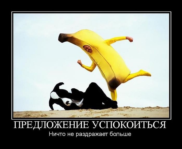 Антон Андреенко фотография #21
