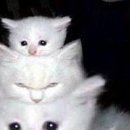 Альона Скороход-Стрільчук фотография #13 (источник - https://vk.com/id117692920)