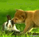 Натуся :) фотография #3 (источник - https://vk.com/id125615041)