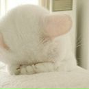 Фотография Казанцевой Юлии