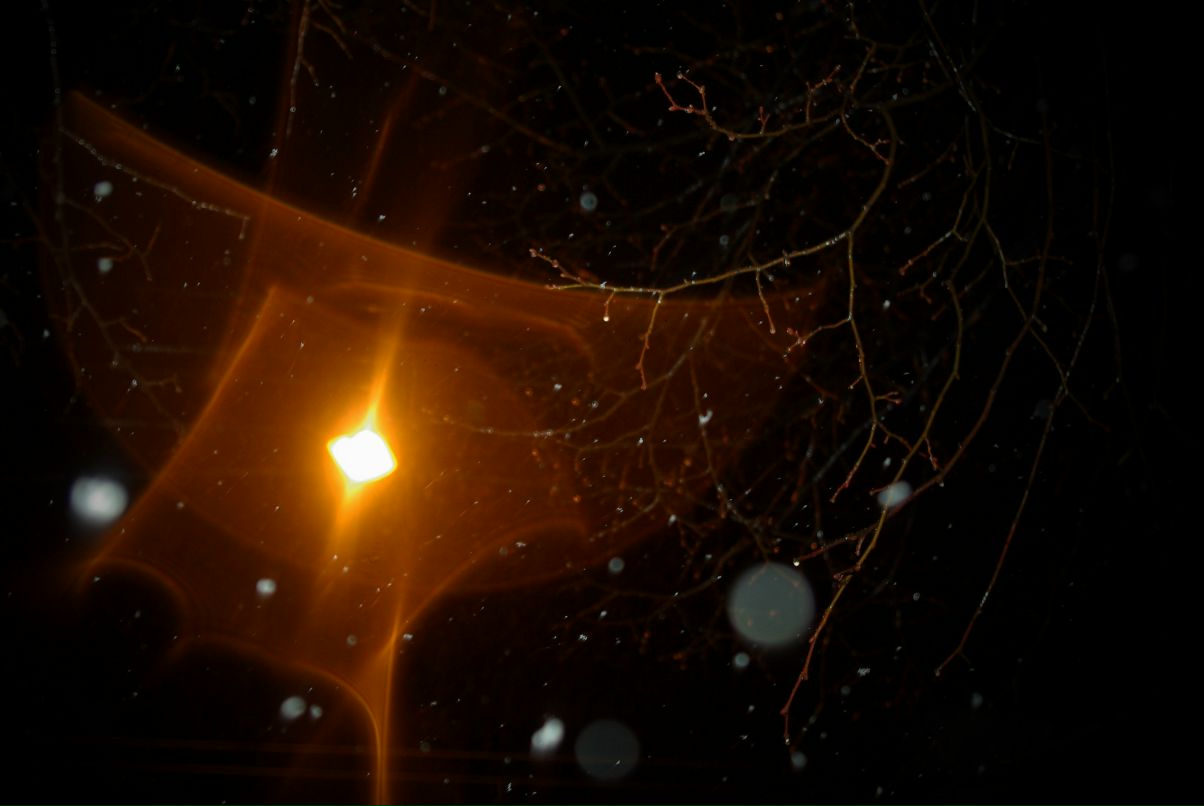 Андрей Разбаш фотография #31