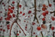 Фотография Шегай Юлии