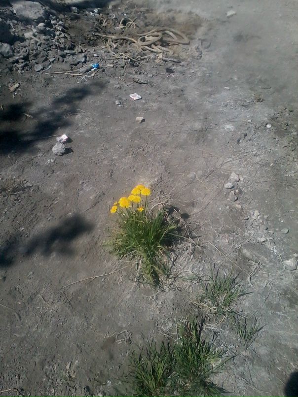 Игорь Лях фотография #14