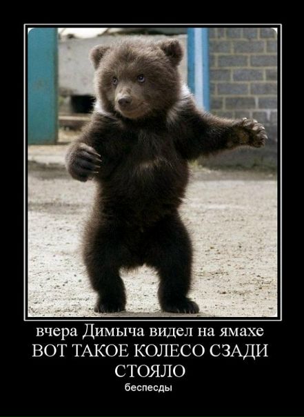 Дим Димыч фото №6