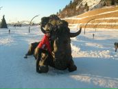 Фотография Стожаровой Оксаны