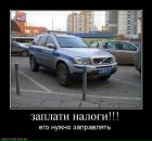 Фотография Горбатова Анастасия