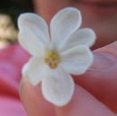 Фотография Савиной Екатерины