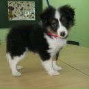 Фотография Ганеевой Светик