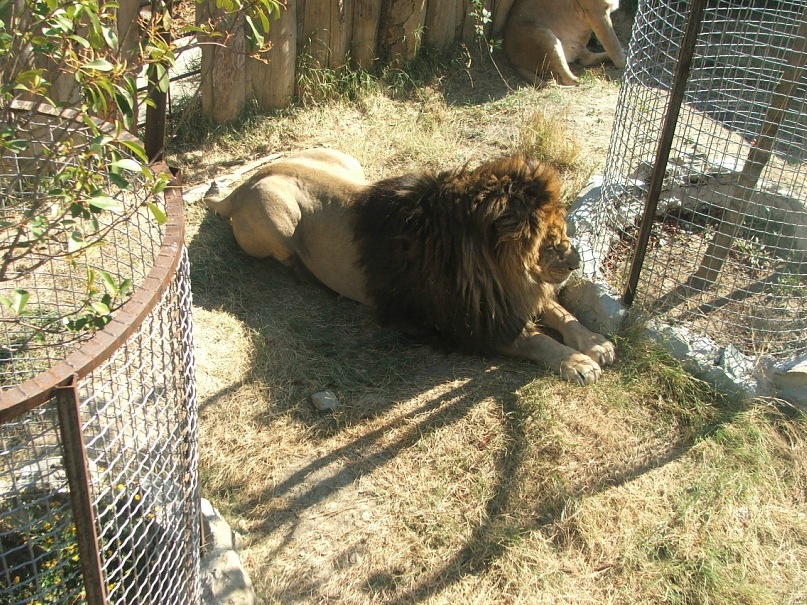 Инна Евсюкова фотография #40