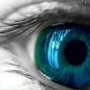 Фотография Бойкова Александра