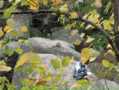 Павло Балтаєв фотография #22 (источник - https://vk.com/id5781749)