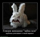 Фотография Лебедев Евгений