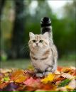 Фотография Лабазин Дмитрий